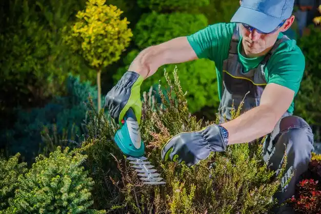 landscaping services Newton Falls